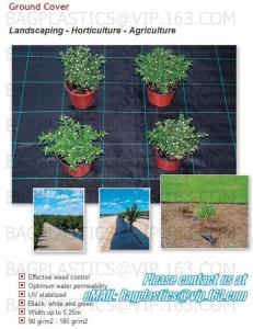 China PP ground cover,weed barrier Fabrics, weed mat in strawberry garden, Agricultural weed control pp woven grass mat, 70gsm factory