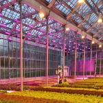 Galvanized Stainless Steel Greenhouse Solar Mounting Structure