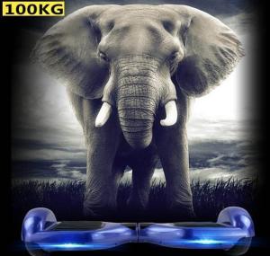 China Samsung Battery Adults off road portable mini Onewheel electric self balance scooter GK-F9 factory
