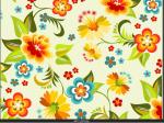 Roller blinds manufacturer/The Newest Printed roller blinds fabric beauty
