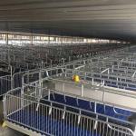 Poultry Goat Farming Slatted Floor 0.4*0.4m 0.4*0.6m