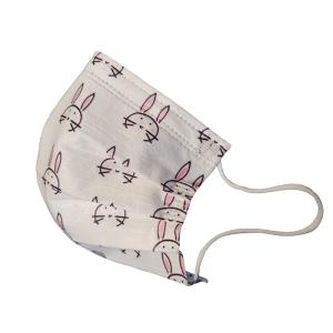 China Disposable Non Woven Printed Face Mask With Ear Loop Highly Breathable factory