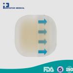 Hydro Seal Adhesive Bandages for Heel Blisters Waterproof Blister Pad &