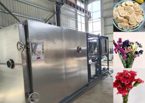 China Remote Control Food Vacuum Freeze Dryer Equipment factory