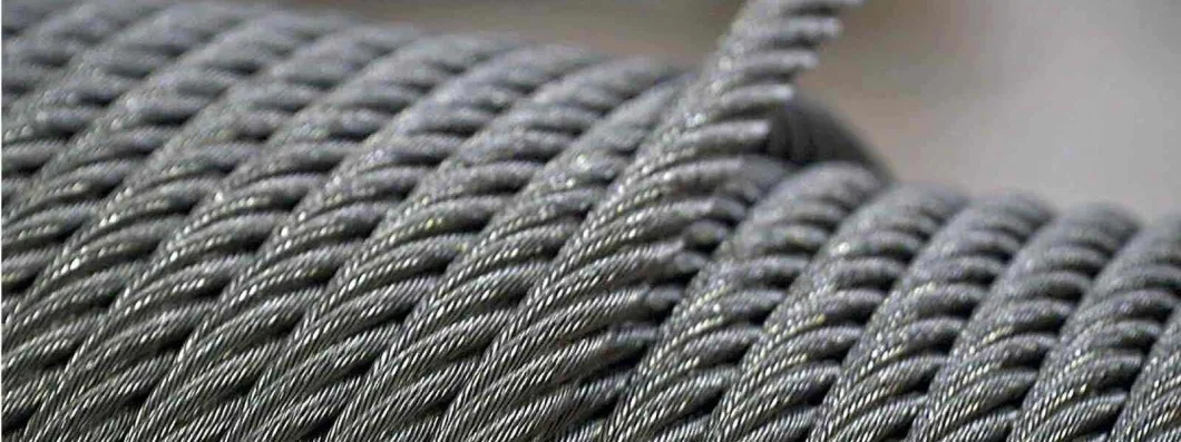 304/316 Multi Strand Steel Wire Rope for Conveyor Belt Tolerance ±1% 4x19W-WSC 4x31WS-FC Ungalvanized Galvanized