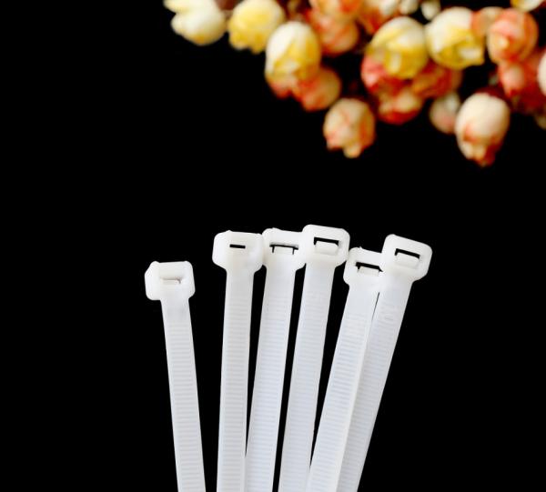 Nylon Cable Tie 3 Series Self Locking Cable Tie Black Nylon Cable Tie White