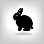 Rabbit Rapid Aqueous Adjuvant