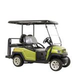 48V Lithium Batteries M1S2 2 Design Perfect Electric Golf Car For Golf Course