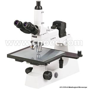 China Trinocular Metallurgical Optical Microscope Halogen Lamp A13.1019 factory