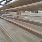 YMTC Hot Sale 50mm Paulownia Wood Slats For Wood Blinds