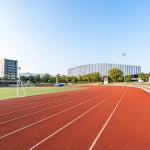 Harmless Full PU Athletic Track Synthetic Outdoor Flooring Antifade