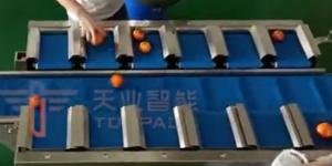 China PLC Multihead Weigher Packing Machine Speed Belt Scale For Fresh Orange factory