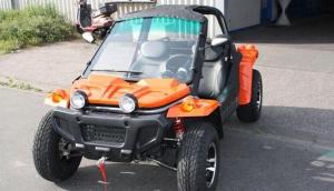 China China Go cart300CC01 factory