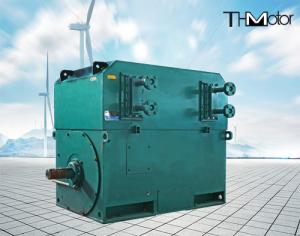 China 6kv 10kv Induction Three Phase Asynchronous Motor High Voltage AC Motor IC01 IC411 IC611 factory