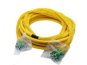 China 48 Cores G657A1 Fiber Optic Jumper Distribution Patch Cord Single Mode factory