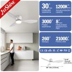 Flush Mount Ceiling Fan With ABS Blades DC Motor Smart Control for living room