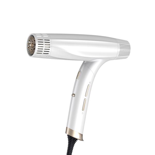 Foldable Brushless Hair Dryer High Speed Salon Brushless DC Negative Ion Hair