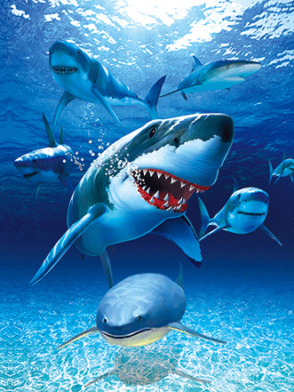 BSCI Lenticular 3D Pictures For Hotel Decoration / 3D Animals Photos