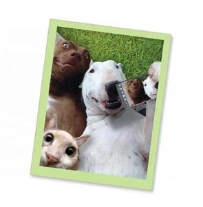 China High Quality 3D Lenticular Anime Style Luxury Moulding Cutting Personal Business Paper Greeting Lenticular Card factory