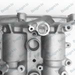 FAW-Volkswagen Sagitar 2012-2015 Cylinder Head Cover 03C103475CJ