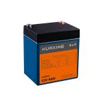 3000 Times Lifepo4 Lithium Ion Battery BMS 12v 100ah 200ah 300ah For Golf Cart
