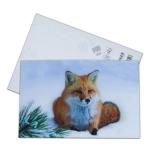 Brown Bear In Alaska Lenticular Card Souvenir Gift Card For Tourist 3d Postcards
