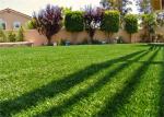 High Elasticity Soccer Outdoor Fake Grass Carpet 20MM - 45MM Pile Height