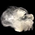 Raw White Virgin PTT Bosilun Fiber High Toughness For Producing Knit Goods