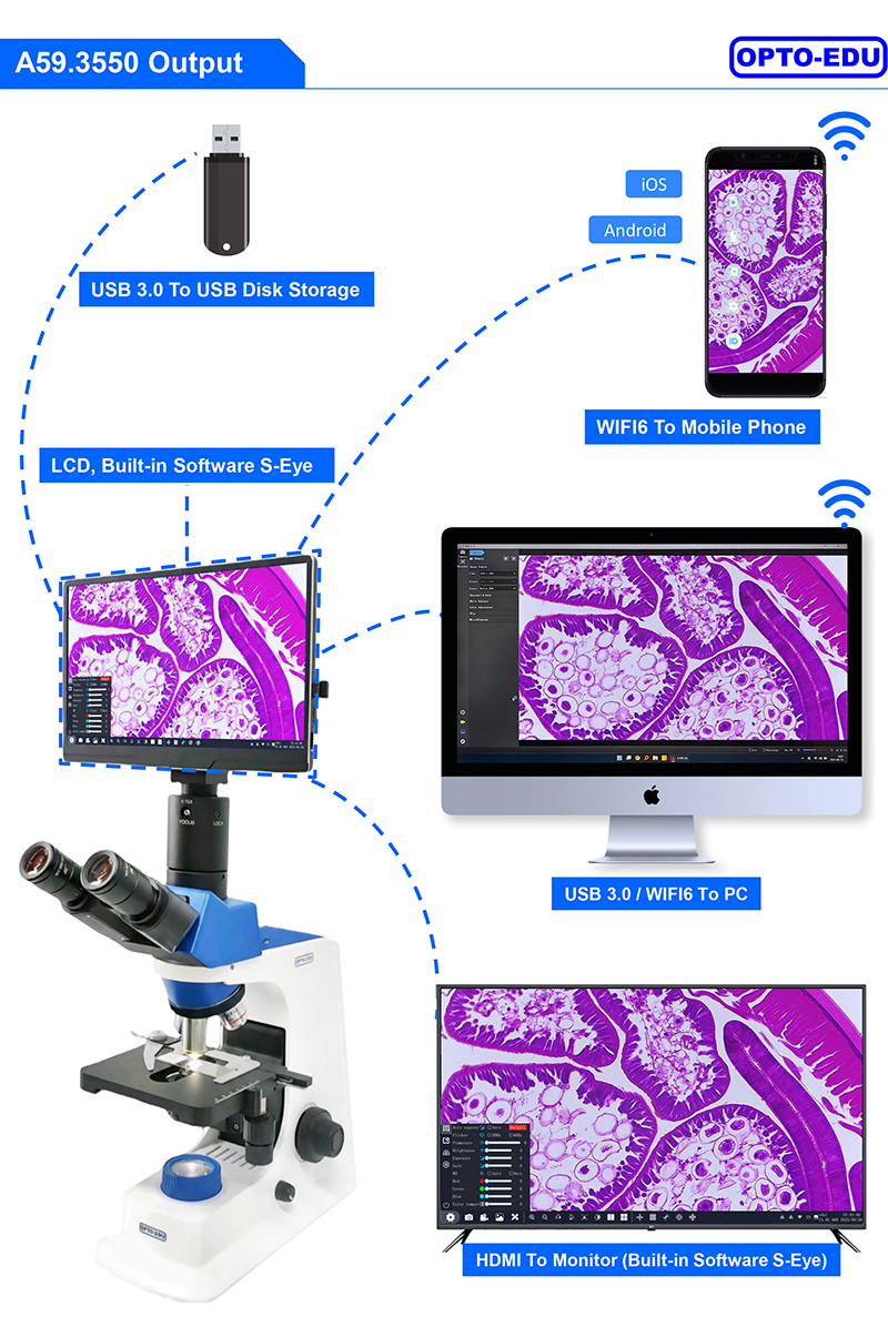 11.6" 8.0M Digital Microscope Camera with 4K 3840x2160 Resolution