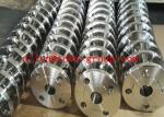 Stainless Steel 317 Blind Flange