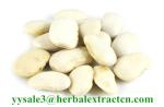 White Kidney Bean Extract 3000 units/g, 10:1，phaseolin1-3%, Chinese manufacturer
