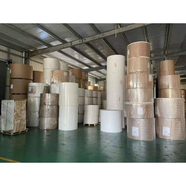 Factory Greaseproof Waterproof Single Double Wall PE Coated Kraft Paper Roll