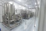 PLC PET Bottle 600T/D Pineapple Juice Processing Line