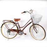 Steel City Bikes Shimano Sora Shifters Hard Frame Steel Frame With Caliper