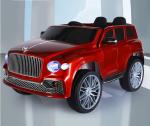 12V 2 Seater Electric Ride On Car for Toddlers G.W. N.W 23.5KGS/19KGS Age Range