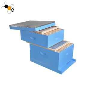 China Langstroth Painted Blue Beekeeping Beehive 10 Frames factory