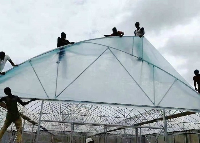 40 Mesh Insect Net Covered Multi Span Sawtooth Type Greenhouse For Rose In Tropical Area