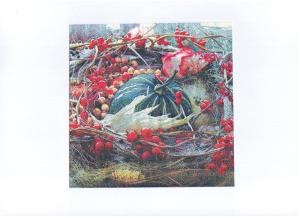 China Pumpkin 20 Counts 3ply Printed Paper Napkin Wood Pulp Material factory