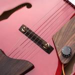 Custom jazz hollow electric guitar, A piece of pickups Jazz electric guitar,