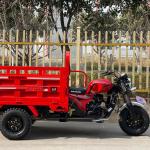 Golden Three Wheel Cargo Motorcycle with ≥400kg Payload Capacity and 200cc