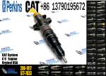 CAT Diesel Engine Fuel Injector 20R-1917 254-4339 254-4340 266-4446 387-9432 387