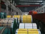 High resistant 316L Cold rolled Stainless Steel Strip Coil / Stainless Steel