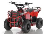 110cc Bore Stroke 52.4mm×49.5mm ATV Quad Bike