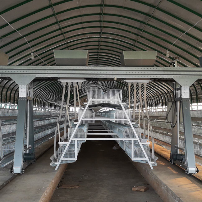 Hens Layer Egg Chicken Cage Automatic Feeding System