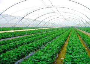 China High Efficiency Customized Insect Mesh Netting 80% Windbreak Value factory