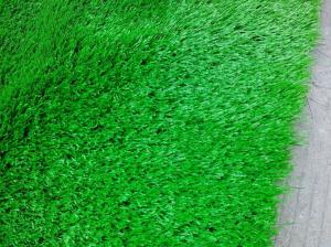 China 8800DTEX/10500 clusterm2/Grass Fiber Size Outdoor Laying Artificial Turf Football factory