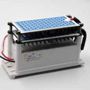 China CE Certification Ozone Generator 10g Double Ceramic Plate Long Life Ozone Parts factory