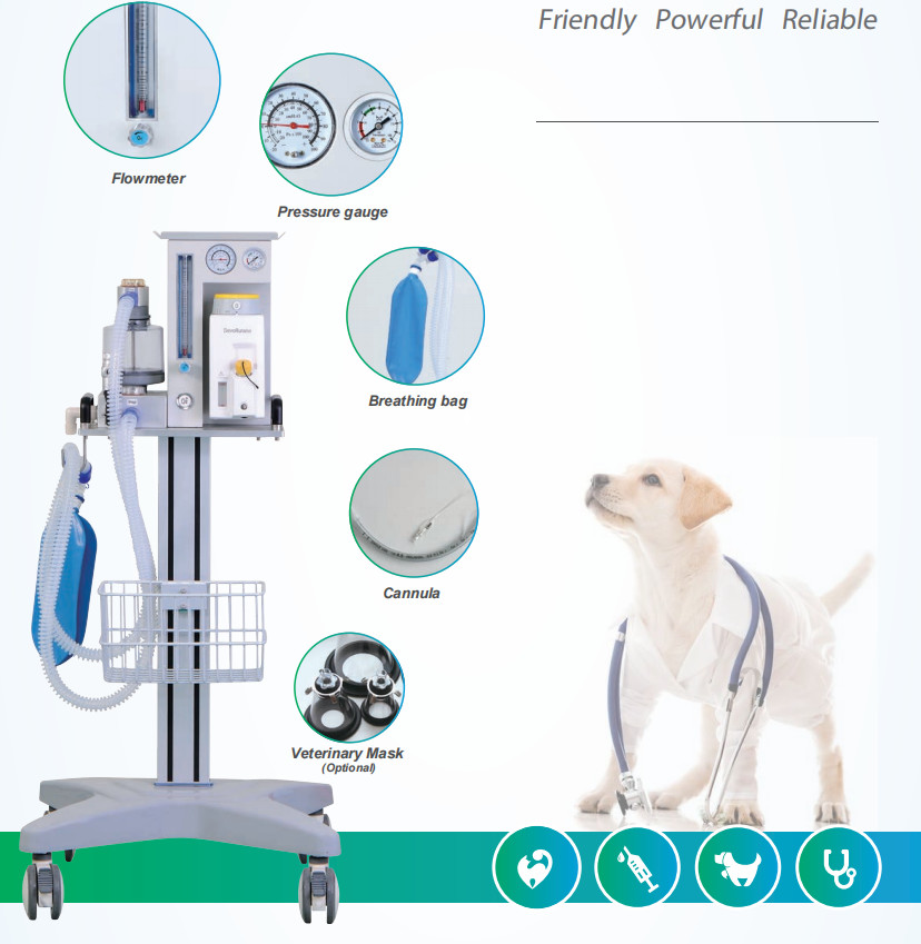 O2 Veterinary Anesthesia Ventilator 280kPa-600kPa Vet Anaesthetic Machine DM6C
