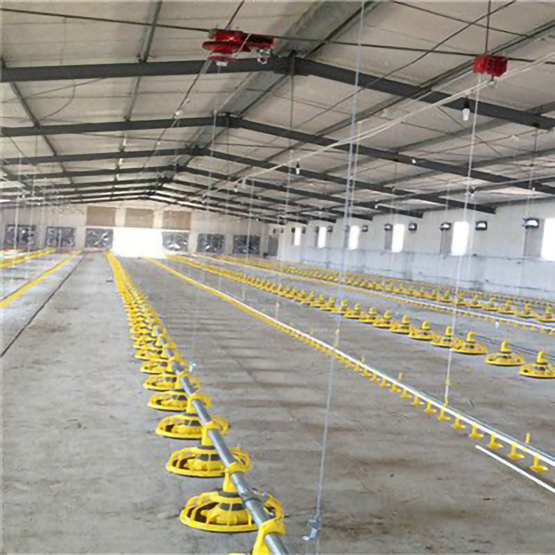 Fully Customizable Chicken House Construction Steel Frame Farm Building ISO Standard