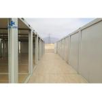 Modern Design Luxury Chinese Prefabricated Houses for Fast Moving and Easy
